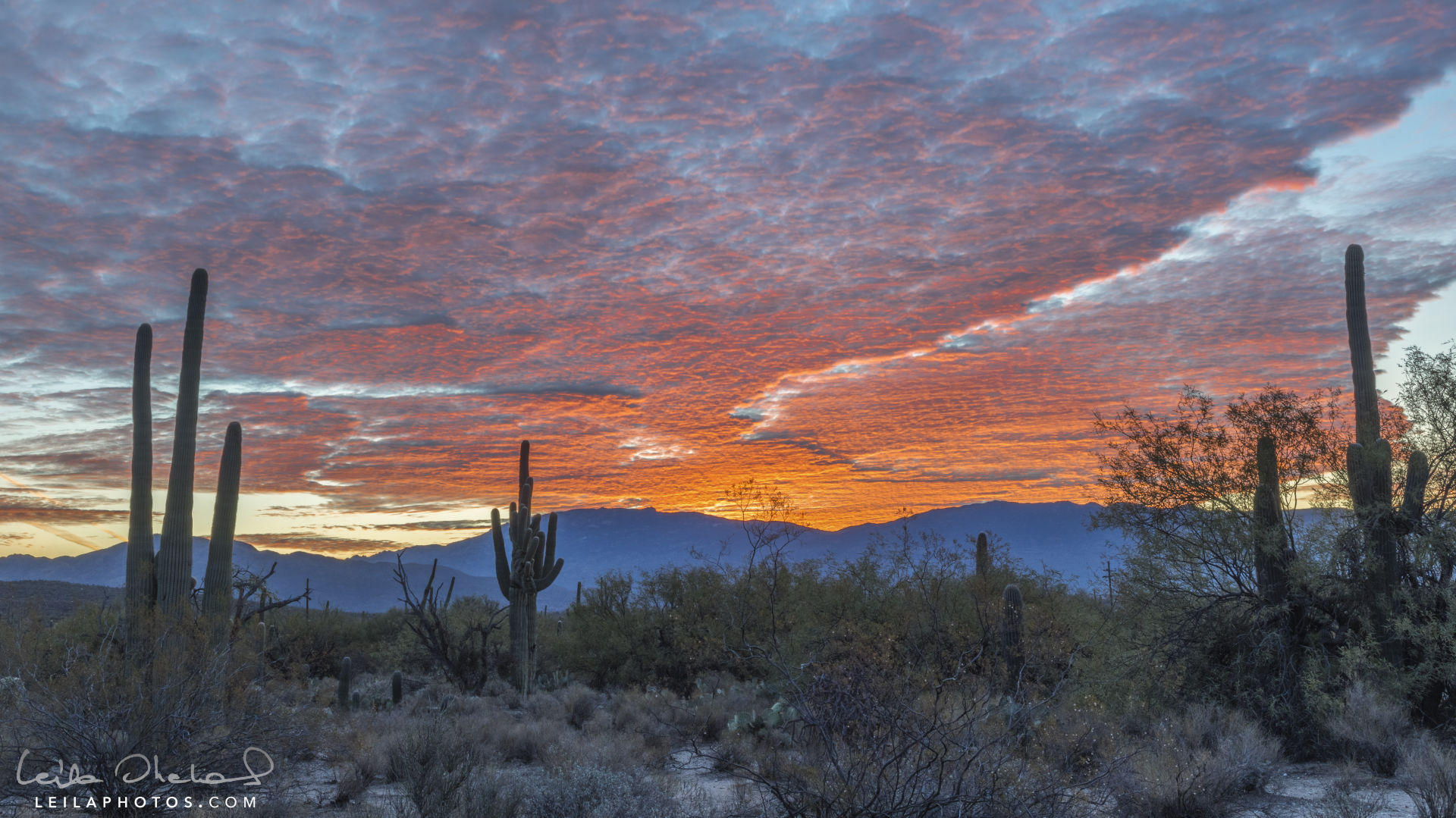 Sabino Canyon Sunrise - Jan 3 2018